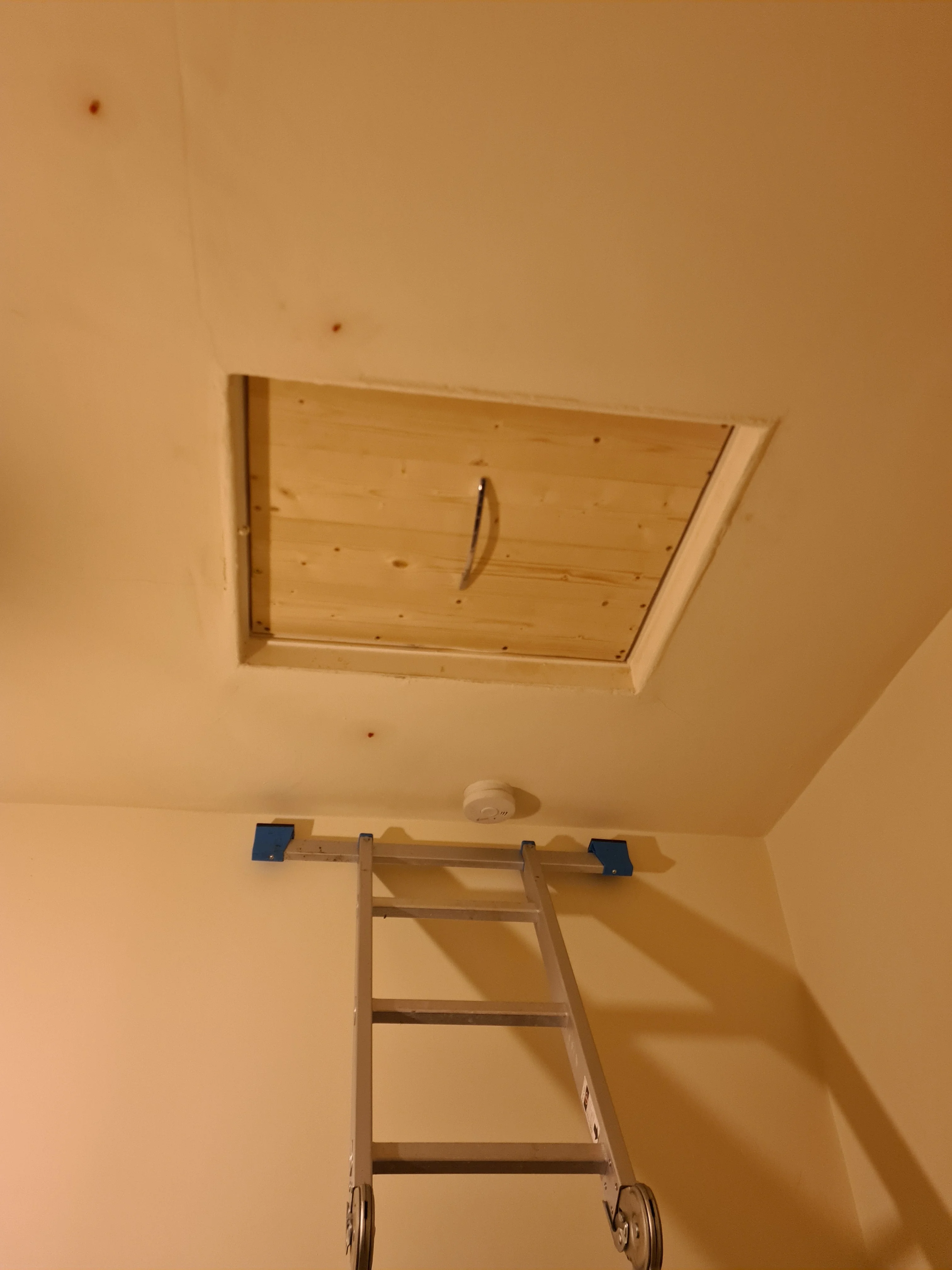 Example showing of a new loft hatch